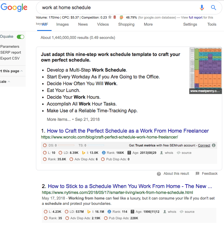 Screenshot of Google Search results for work at home schedule